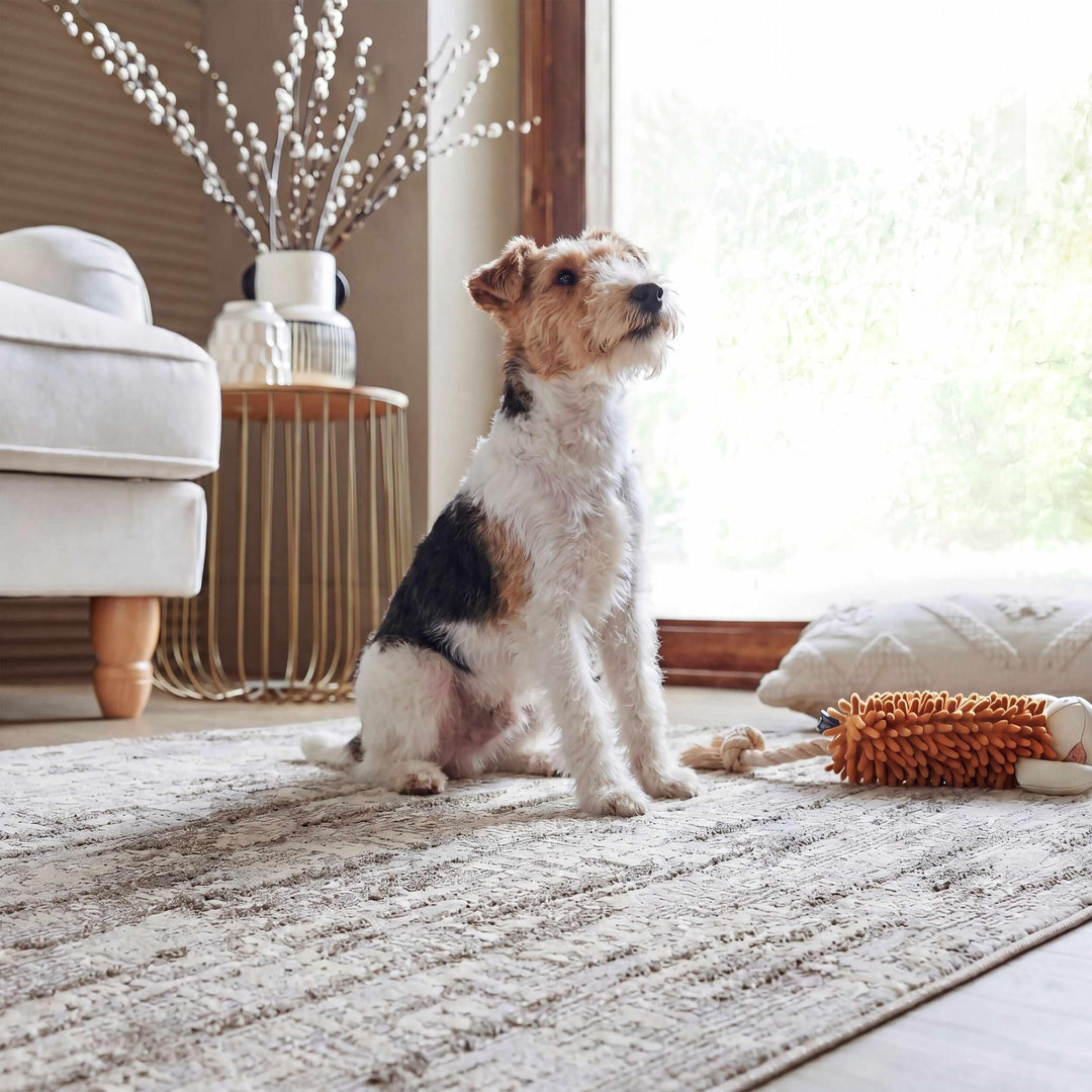 Tapis lavable ASA ABSTRACT