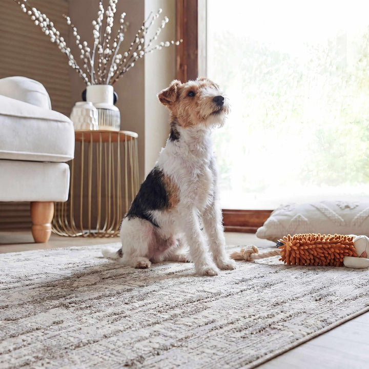Tapis lavable ASA ABSTRACT